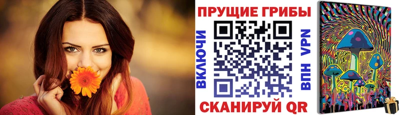 даркнет сайт  Усолье  OMG ONION  Галлюциногенные грибы GOLDEN TEACHER 